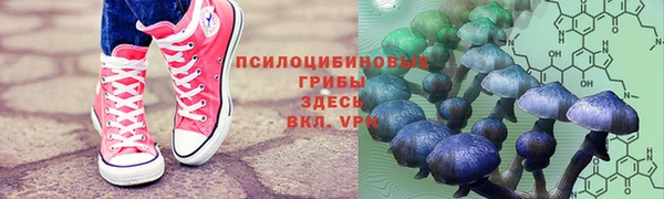 mdpv Аркадак