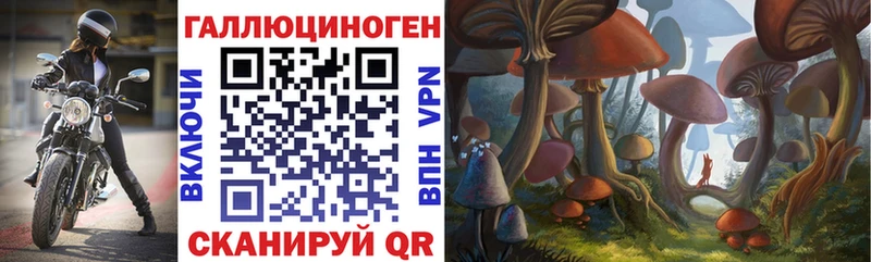 Псилоцибиновые грибы прущие грибы Вязьма
